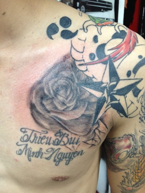 Tags black and grey rose tattoo black n grey roses rose chest piece